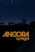 Angora by Night