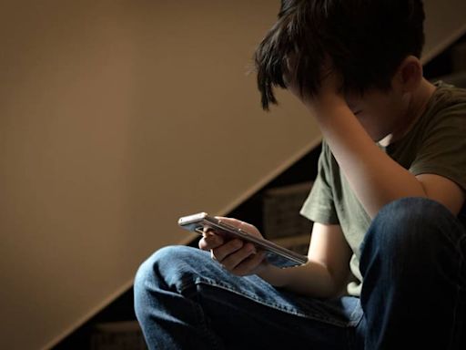 El alerta por los grupos de WhatsApp a los que suman a chicos y los exponen a imágenes sexuales llegó a las escuelas