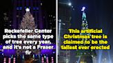 16 Facts About Christmas Trees That Make Them All The More Interesting