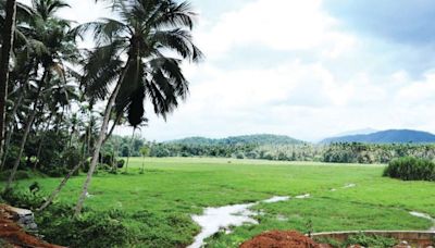 Kerala set to launch new portal to streamline land, revenue and survey services