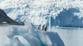 How to plan an unforgettable trip to Antarctica