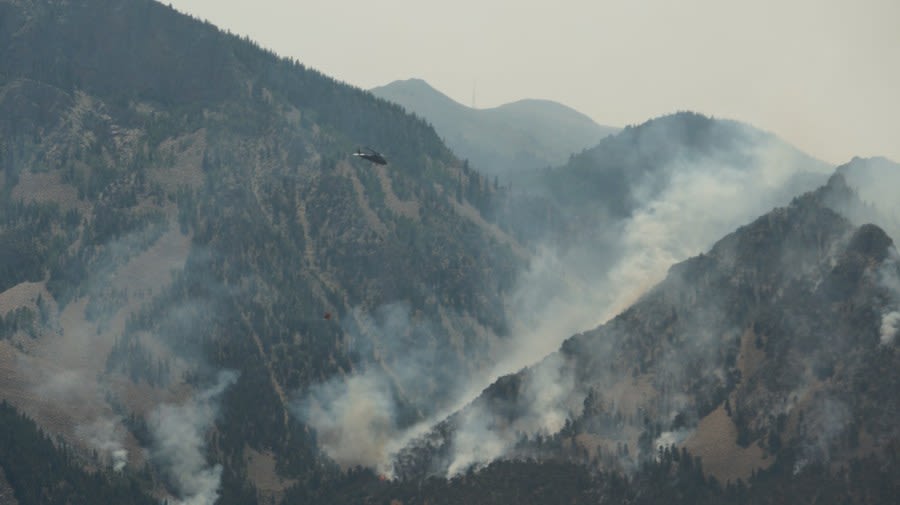 Fishlake National Forest issues closure order as fire surpasses 11,200 acres