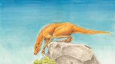 新發現侏羅紀食肉恐龍現身英國