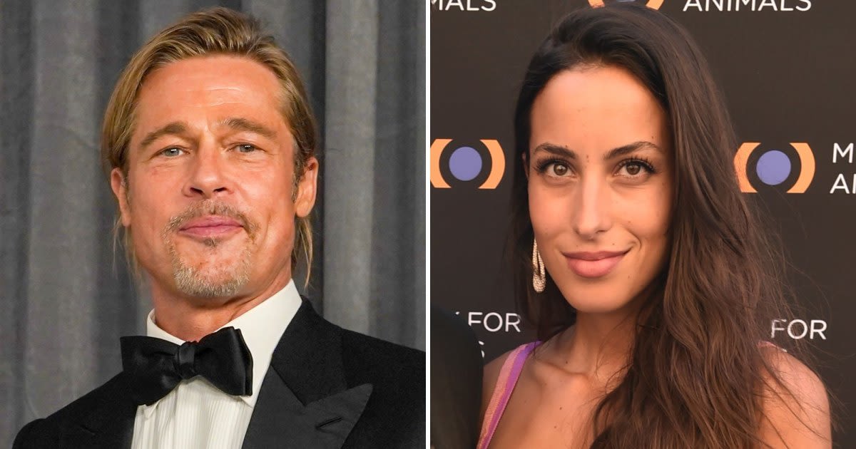 Brad Pitt, Ines de Ramon Considering All Options in Baby Plans