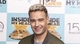 Liam Payne Offers Rare Update About Son Bear, 6, and His Texting Etiquette