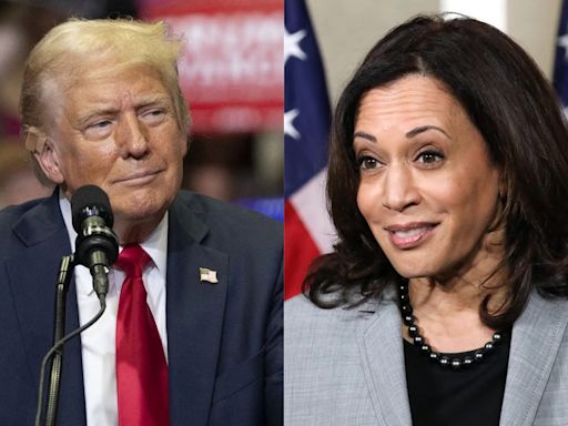 Donald Trump Calls Kamala Harris, Married To A Jewish Man, An Anti-Semite