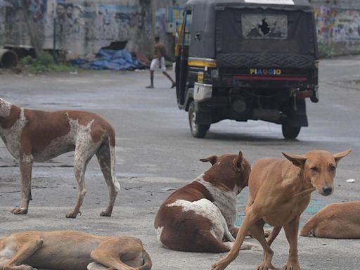 Man, son die of rabies after pet dog bites them in Visakhapatnam