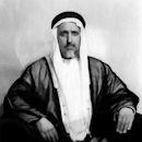 Ali bin Abdullah Al Thani