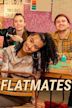 Flatmates (British TV series)