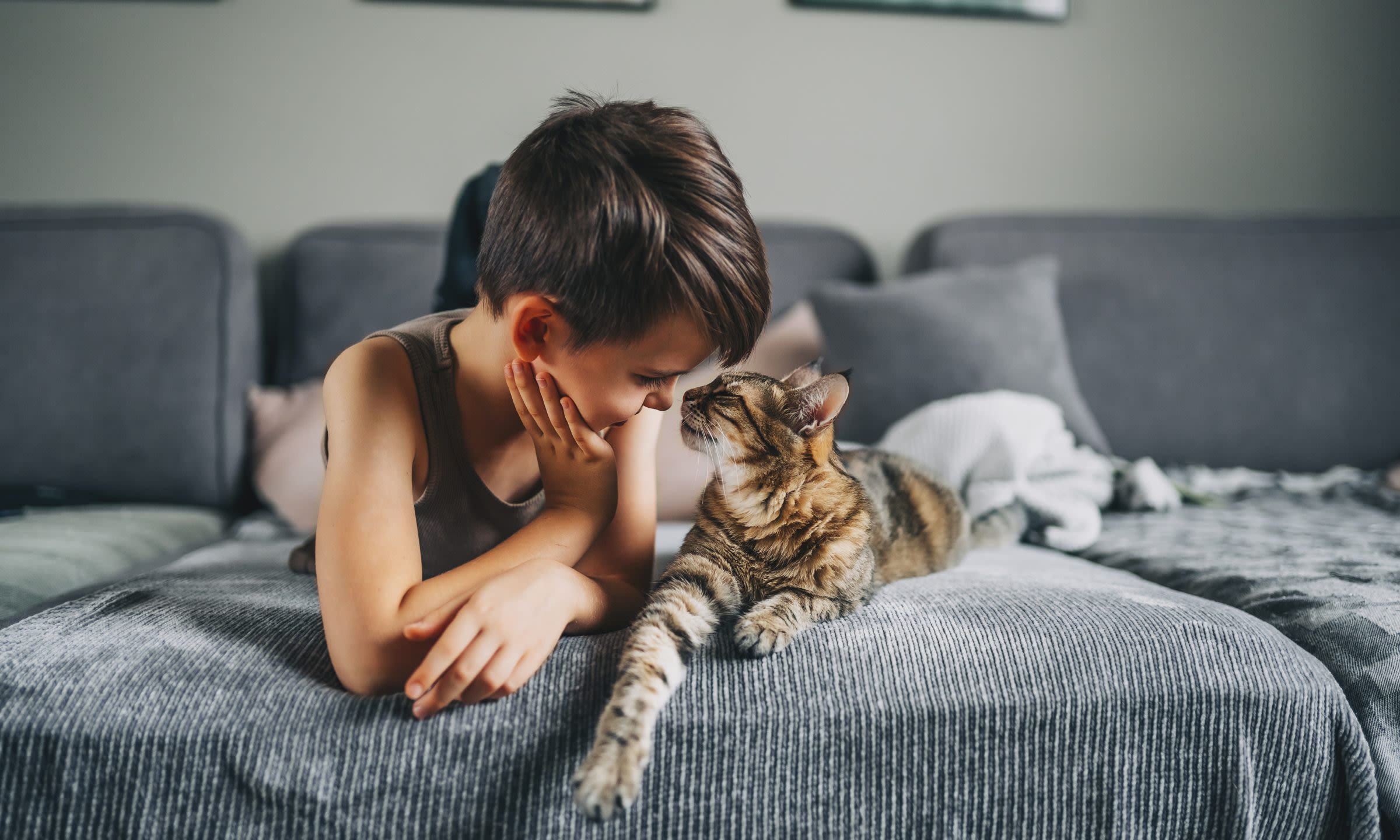 Wagmo Pet Insurance Review 2024: Pros and Cons - NerdWallet