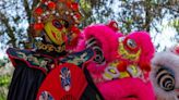 Una feria china gratuita llegó al Parque O'Higgins con shows, talleres y medicina tradicional