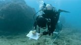 海保署首次攜手潛水教練 「珊瑚特潛聯盟」認養40處棲地