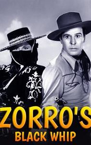 Zorro's Black Whip