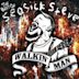 Walkin' Man: The Best Of Seasick Steve