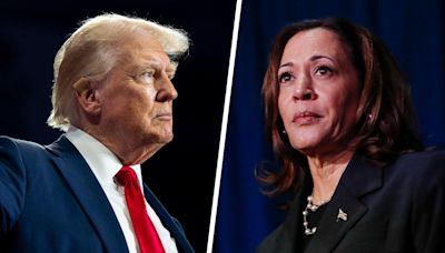 Maddow Blog | Trump says Harris shouldn’t be ‘allowed to run,’ recycling weird claim