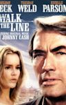 I Walk the Line (film)