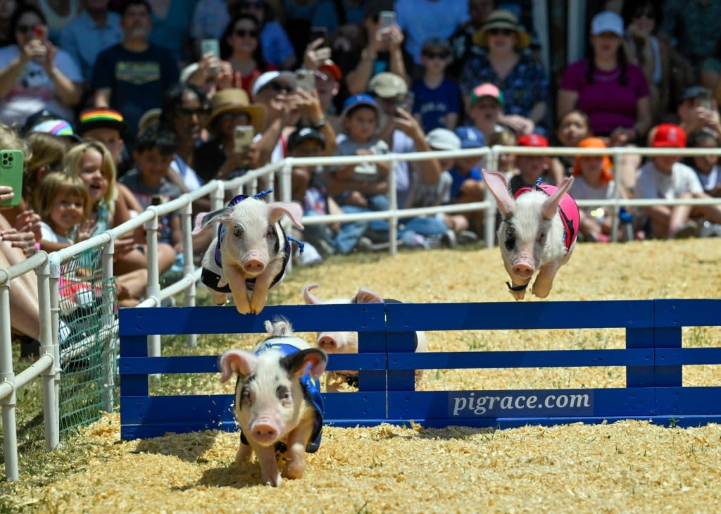 This week, Aug. 7-11, at the OC Fair