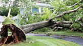 2-year-old boy killed, mother hurt after tree crashes through roof during tornado