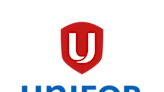 Unifor wants war on China EVs