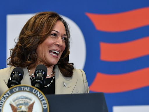 Donors Game Out A Kamala Harris Candidacy As Potential Joe Biden Exit Looms; VP, Katzenberg On Call Today With...