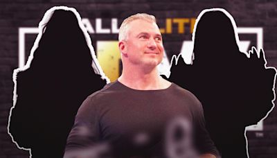 3 Best Fits For Shane McMahon In AEW