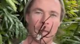 Chris Hemsworth's insane interaction with a deadly spider