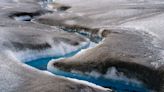 Greenland is getting greener. That could have huge consequences for the world