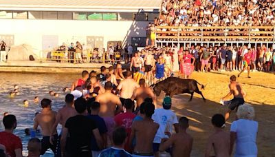 Primera 'Festa Major' de Dénia sin 'bous a la mar' a mediodía: 'Es una decisión de izquierdas y progresista'