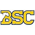 Birmingham-Southern Panthers