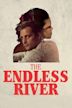 The Endless River (film)