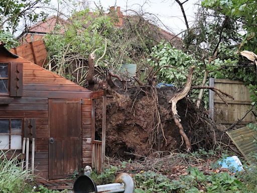 Tornado leaves trail of destruction as it tears through people's homes