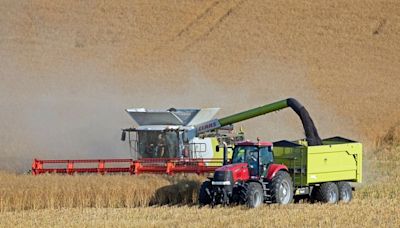 American farmers' next hot commodity is canola for biofuels