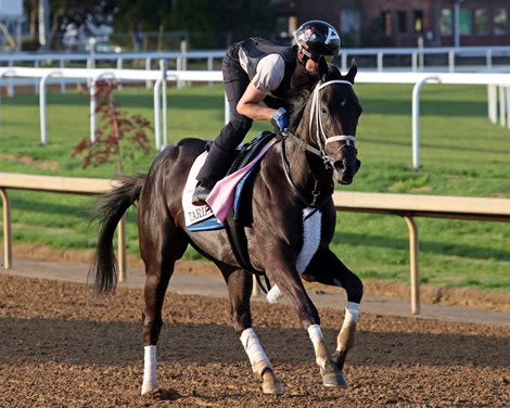 With Tarifa, Godolphin Aims for Kentucky Oaks Repeat