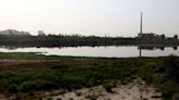 Yamuna River Floodplain has to be zealously protected from unauthorised constructions: Delhi HC