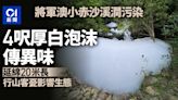 將軍澳小赤沙溪澗驚現白泡沫 厚達4呎傳異味 行山客憂影響生態