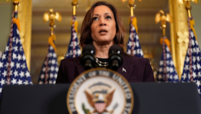 Did Biden Put Kamala Harris In Charge of Border Security? Fact-Checking 'Border Czar' Claim