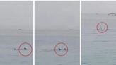 ¡Fuertes imágenes! Tiburón devora a turista ruso