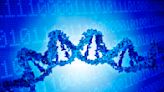 Your genetic code has lots of 'words' for the same thing – information theory may help explain the redundancies