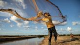 How a canal is bringing water, fish and hope to farmers in Cambodia