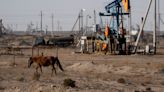 Kazakh oil flow to Germany seen intact with Druzhba issue resolved, sources say