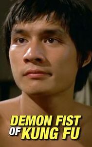 Demon Fist of Kung Fu