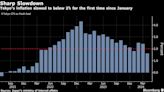 Tokyo Inflation Slows Sharply on Education Subsidy Impact