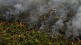 Brazil’s firefighters battle wildfires raging during rare late-winter heat wave