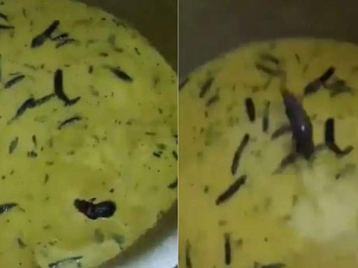 Mouse found swimming in chutney at JNTUH Sultanpur mess, video viral | Hyderabad News - Times of India