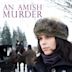 An Amish Murder