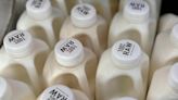 Bird flu found in US dairy cows isn’t deterring raw milk drinkers