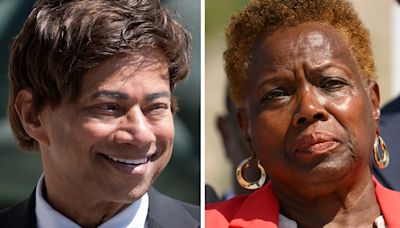 Thompson: Shri Thanedar won but is not invincible