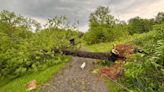PHOTOS: Severe storms topple trees, produce hail during Memorial Day Weekend