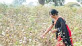 CottonConnect Improves the Lives of Women Farmers by Teaching Them About Climate Change