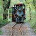 ECOLAND 森林小火車